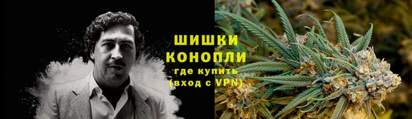 индика Нефтекумск