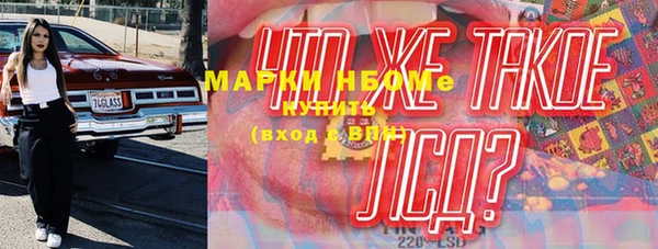 индика Нефтекумск