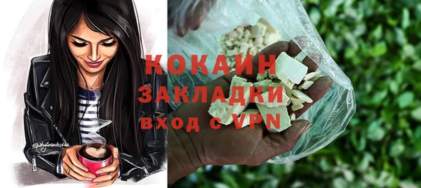индика Нефтекумск