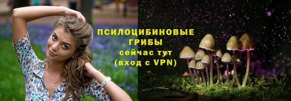 индика Нефтекумск