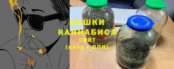 индика Нефтекумск