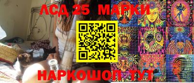 гидропоника Берёзовский