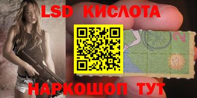 гидропоника Берёзовский