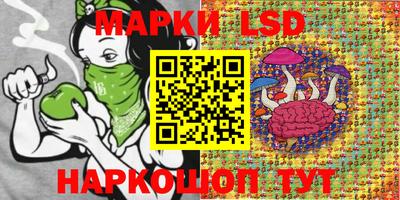 дмт Гатчина