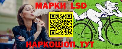 дмт Гатчина