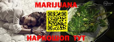 дмт Гатчина