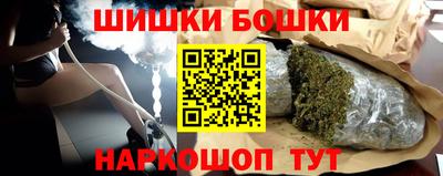 дмт Гатчина