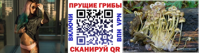 мега tor  Коломна  Псилоцибиновые грибы мицелий  магазин продажи  
