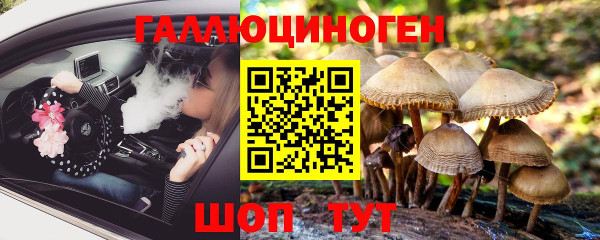 Галлюциногенные грибы мухоморы Коломна