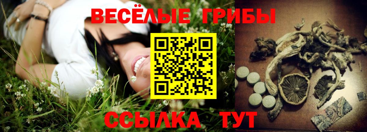 Коломна  Псилоцибиновые грибы ЛСД  Вход с VPN 