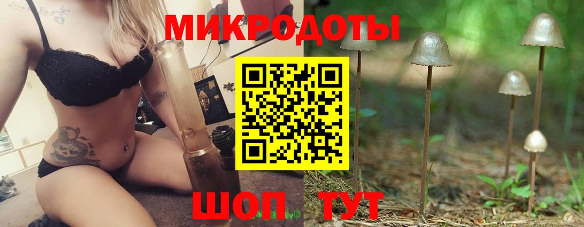 Псилоцибиновые грибы мицелий  Коломна  Псилоцибиновые грибы MAGIC MUSHROOMS 