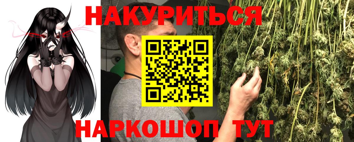 Каннабис сатива Коломна
